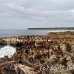 nusalavu_h_0705_2409.jpg